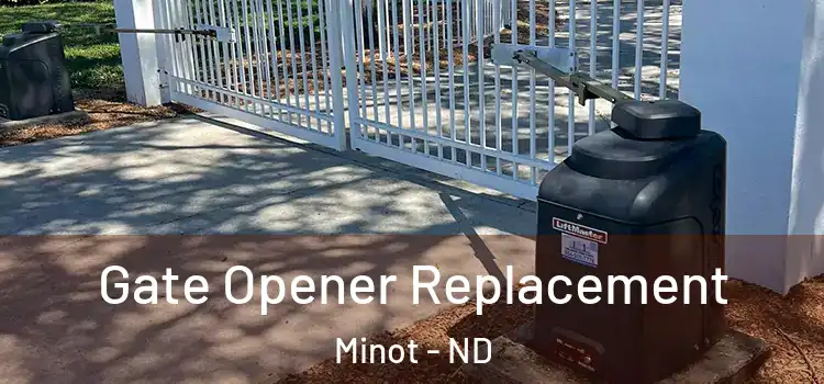 Gate Opener Replacement Minot - ND