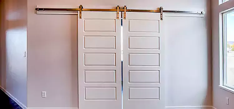 Glass Barn Door with Installation Hardware Kit Minot